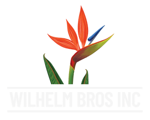 logo-white-wilhem-bros-inc-sarasota